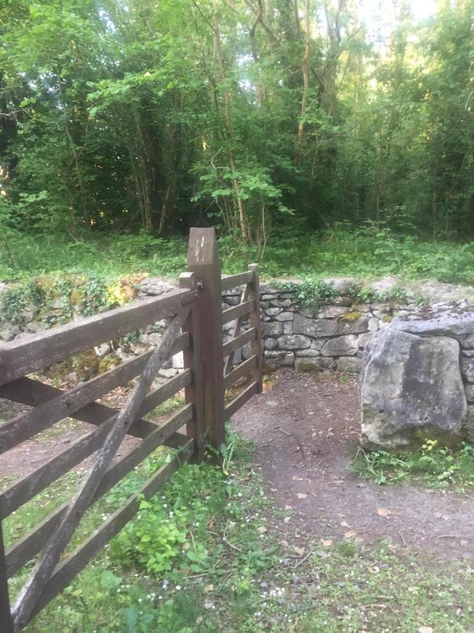 Sallys Cabin Kilcolgan Exterior photo